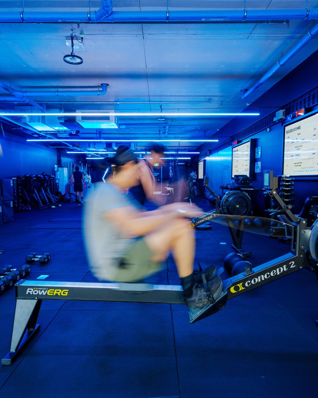 Sweatshed Training — rowing